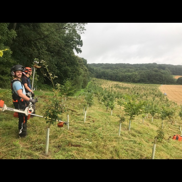 Finishing off brush cutting around a...