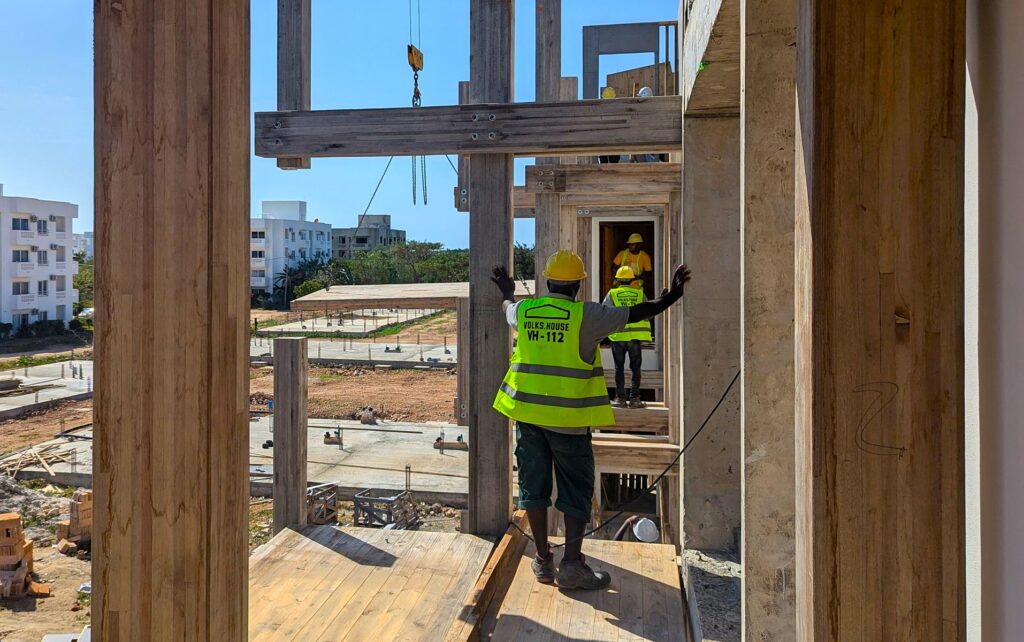 SA pine mass timber used to...