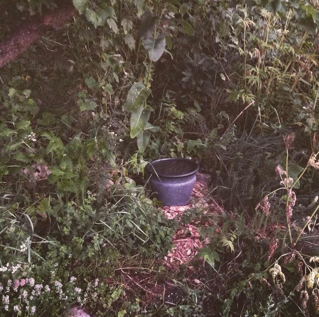 Lillie House Permaculture: Only a Bowl...