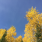 Thoughts on the West – A...