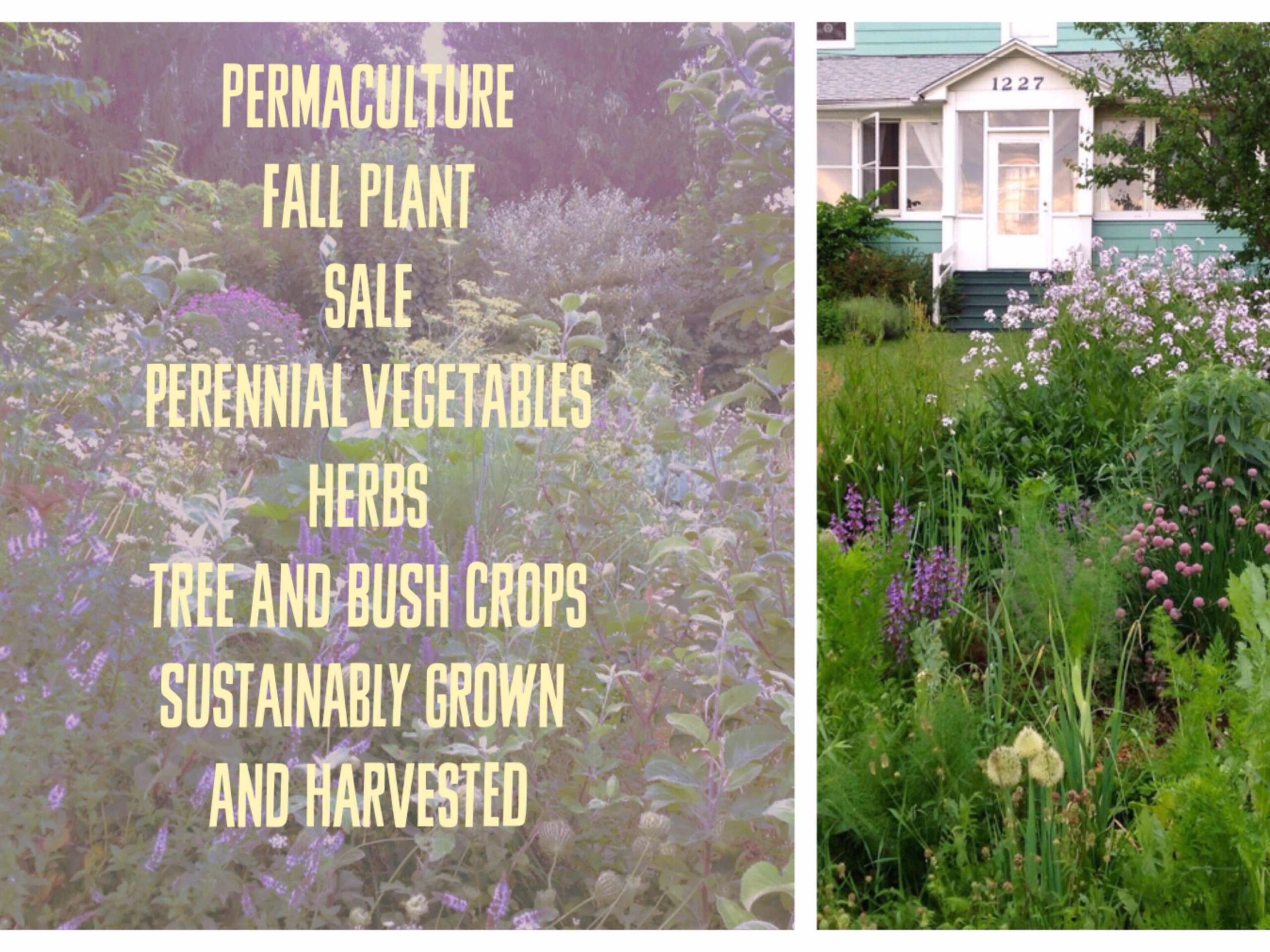 Fall 2018 Plant and Seed Sale