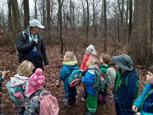 Week 1! Thursday Forest Dreamers 2/13/2020