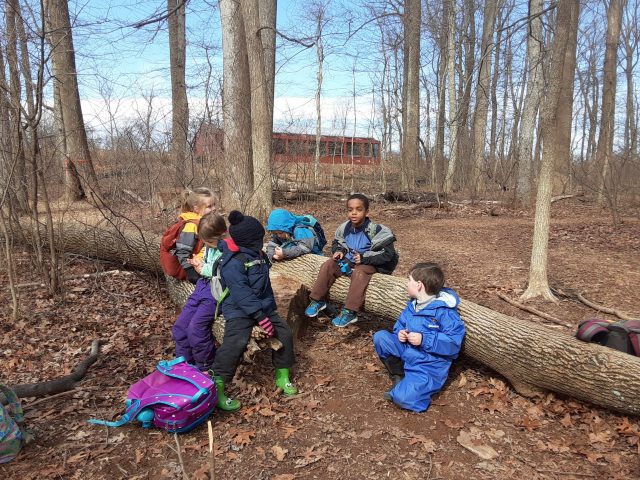 Week 2! Wednesday Forest Dreamers 2-19-2020