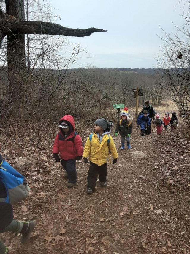 Week 2! Thursday Forest Dreamers 2-20-20
