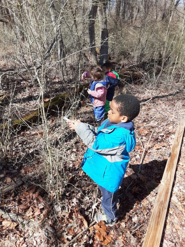 Week 4! Wednesday Forest Dreamers 3.4.2020