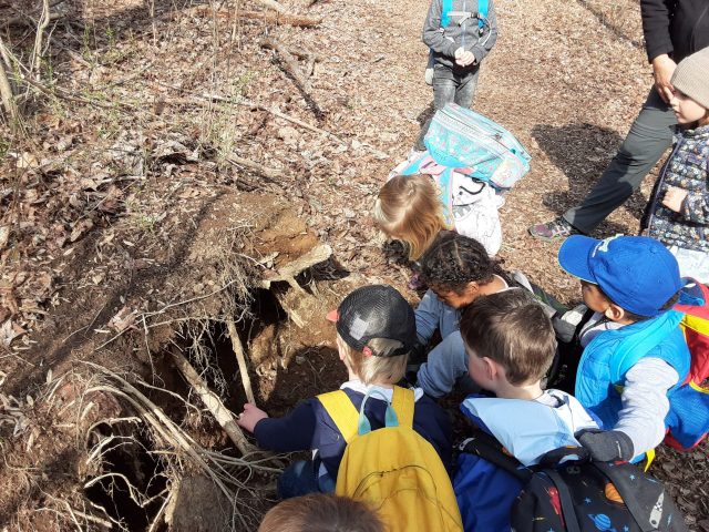 Week 5! Thursday Forest Dreamers 3.12.2020