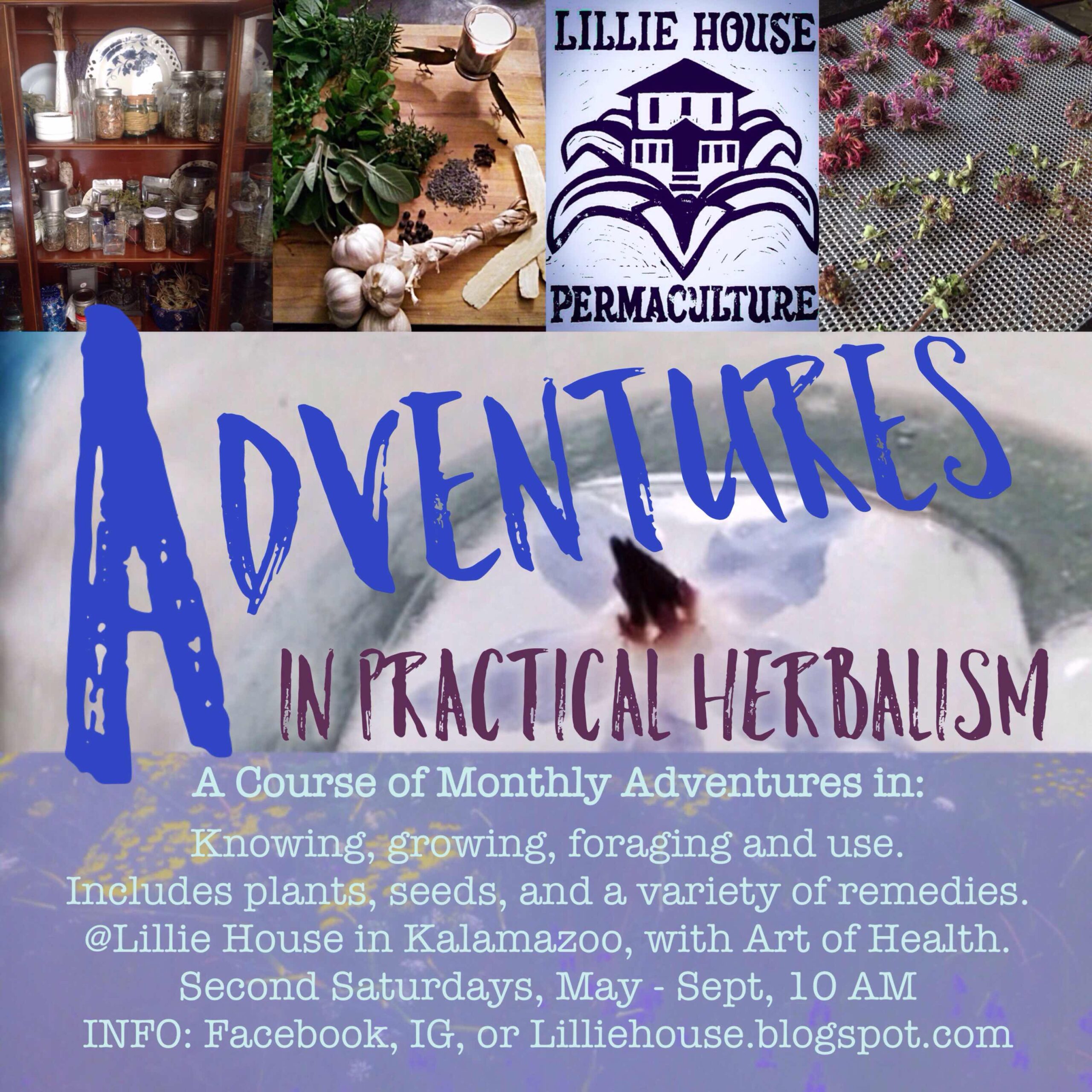 Lillie House Permaculture: Learning from Herbs:...