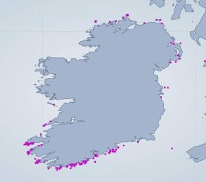Basking Sightings Map 2011