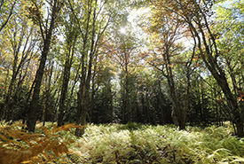 Chignecto Isthmus, NS (Photo by Mike Dembeck)