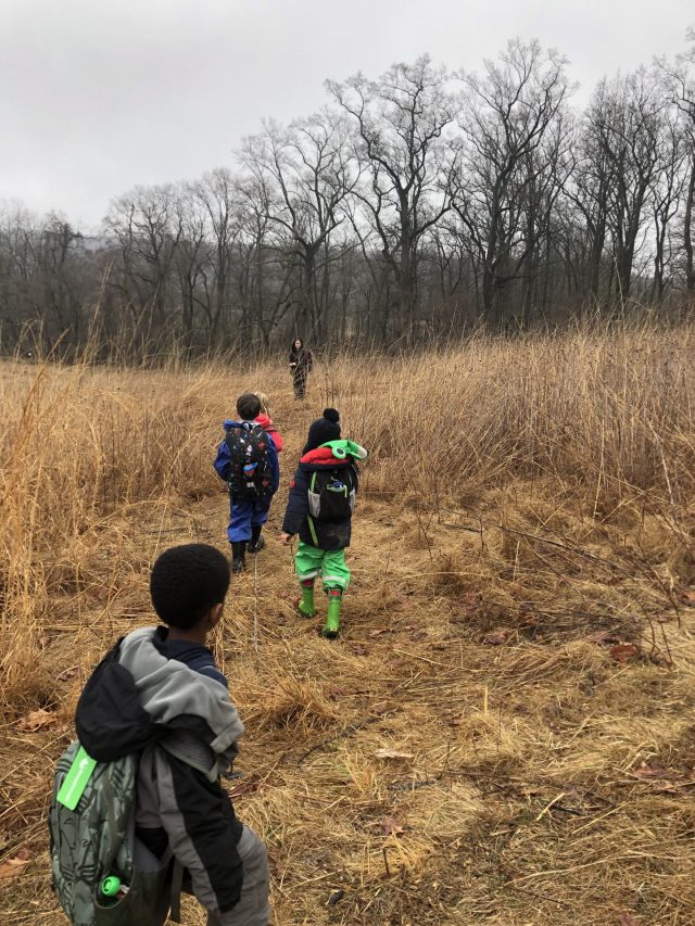 Week 3 Wednesday Forest Dreamers! 2-25-2020