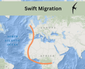 World Migratory Bird Day — ESRI...
