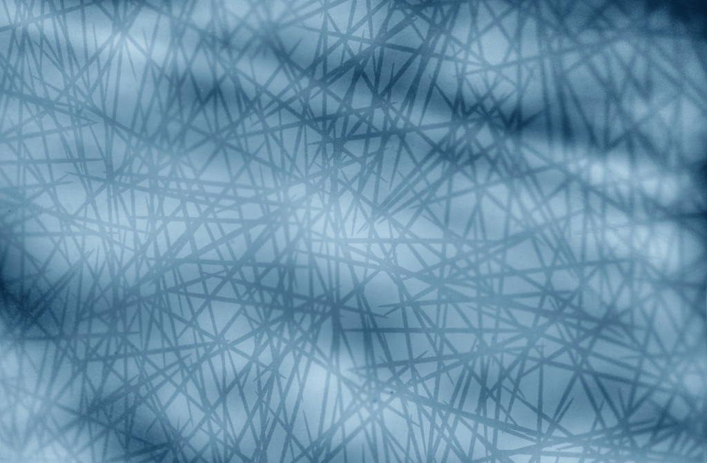 The ultraviolet pattern embedded in the windows deters birds from flying into them. Photo © John Weinstein.