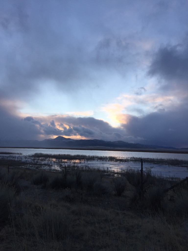 Ethereal Things – A Wondering Discontent