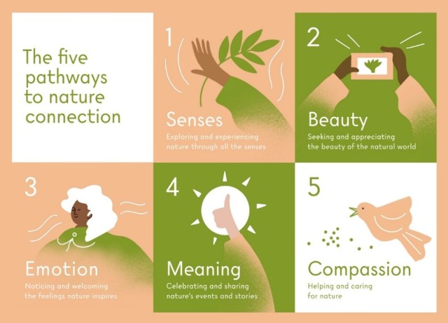 Nature connectedness: A new approach for...