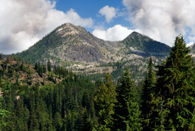 Darkwoods, British Columbia (Photo by Tim Ennis/NCC)