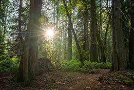 Reginald Hill, Salt Spring Island, BC (Photo by Fernando Lessa)