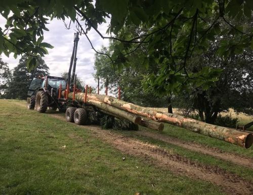 The little trailer’s definitely earning its...